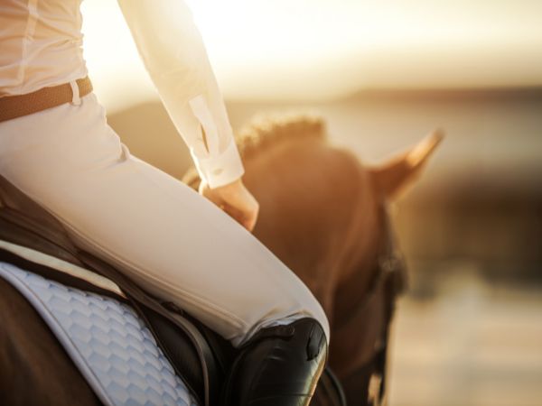 Jak dobrać odpowiednie siodło sportowe dla konia?