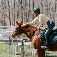Doskonalenie umiejętności w ujeżdżeniu koni - jakie akcesoria pomogą w treningu?